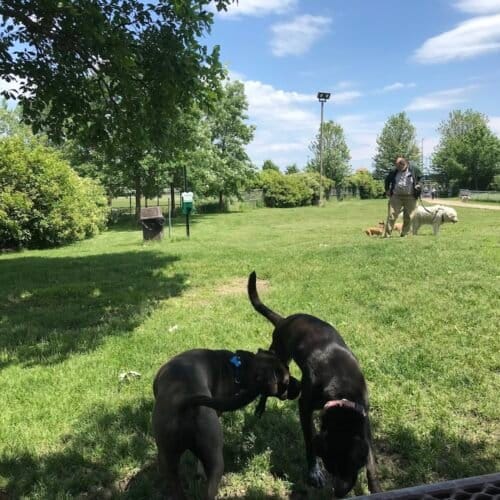 AC9h4np6DYL7H914bIKtGR2SjmL0efxGCA7jlpbZFiv90EdcQVNTKuOr7ZQyRR FbNAZ rZpNX5kQpJIj jX28MInDNbTEhFiXdp2WXy7TUHB3H1f1pULA9qz09Iro6v6lhJRNeUNy3jSgw1600 h1000 k no