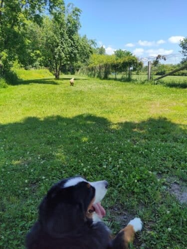 AC9h4np6Ufuan1yGuiKzftK1WgQEtpKYbbzggQ8H8GGNYZLxigu D10IBbpLim8nfDwtVOcIpH1 AUzVrYJwVaEtnWAoaJYJxCm11T7KN 6x6L9lnbLxhpRIXBnzga5Ipm23BfXRPeOdw1600 h1000 k no