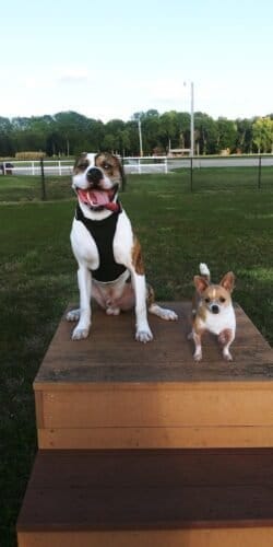 AC9h4np6XFO0 B9R4kibq0xEyYc CoUCBo4C4nuWdUCmiqkYX8eF9KKdTkSAOHeb3RxbHPaA Z2Bx2TPH5E m 4pvYpcJvowhyh7rxvbcrRQYAHz1P0Lgi12QZHEwzlnCIoNXzWSy MCw1600 h1000 k no