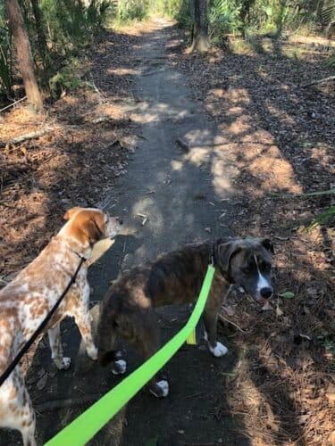 AC9h4np6clnB8mr GS6uJ281afhWwIXXtHKIRo9HttkkBre0rCBBDDUa0A0 sIwFMr FM6qhGo41e52KRkcjxnehl7yI fO33cVMD6LZkTQw1600 h1000 k no