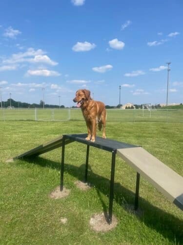 AC9h4np6f796nsZZCWq6RoeGlCRl8g5Rw8NrzXxO9XpE4ga2Z9KXxc96Dg7rb8k X Db1wqKdtZ7fIle0G8KlhO96T3dP 1UZD1fvZVmZABqFUchIZ0jVcrKzhlNo1jQYuUeG7Yq6F6SefdC7YA1w1600 h1000 k no