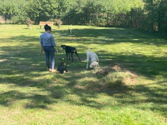 AC9h4np6hqkaA2Z1Y4RywA3yvyu0o87MGJigGqA NCtsxuYz8ujFRv80ewRfCsPOBFwt1OmGqCP WEa 2IpDnaBloxO29id7UlFfHfvPfaCKK zg6Li0EKZzXjX3yjOarQz1MOYkxgw1600 h1000 k no