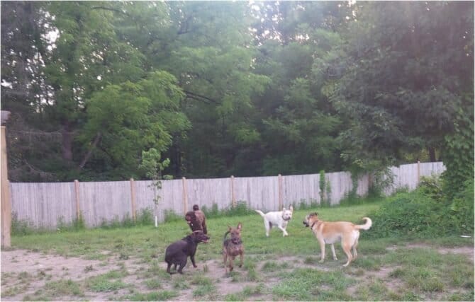 AC9h4np7 fzu Z9j8ghR7baHdmN3qS7HXj871VmmWRGwTidqzksq6ivYR7FbET8mbbc135yHtl u0e S9Ij3mWjE4IpWzw9UCK24eTMm64MLI stPKOZEta8IABchOB45Xh5ch6fZ9aojgw1600 h1000 k no