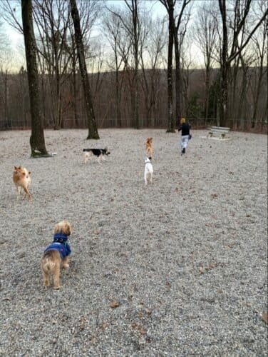 AC9h4np7 ztufQjMx6s8j CPmbHJek1ifdeeNnQfr5xS1OibN535bMv0tgw27pB9D4Fe4KTw1dvwQRaogazWN joerdjVkANhdzCNC8wuvUw1600 h1000 k no