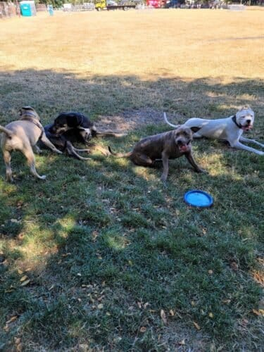 AC9h4np7ChFSLMWvNVYV5i5p7AJTeFZnPX iBNwgLc3cVdqIe7uXlFny2U3VMsF hP96oTCOMsDXqSrLg5DFPZKSaAi5RDsU ZVhc3tmxAw1600 h1000 k no