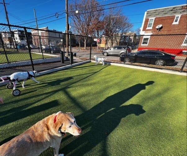 AC9h4np7J2 JUe8IMIjqavvCB tVeB7Wo9BM1KX4kb8JhZHLvfuE860wdTwXv1C 9hv819enKLF90o1d3E VQ 8zSru dMVLQqm7OK11GD6ydTb IkoGr9m PL7mlXtcz1HSRa4Salgw1600 h1000 k no