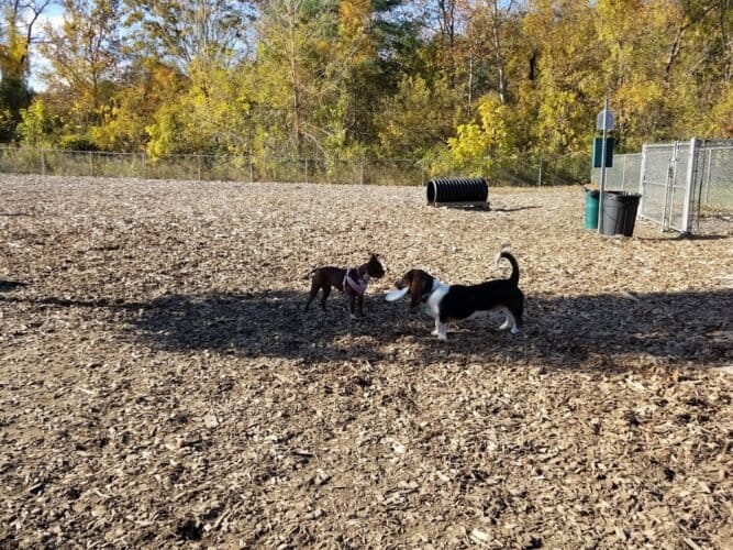 AC9h4np7LvFCY kpmyWeEPY8Oc9CpPtI9tMYntErgMxcM7gQXGATs UGmdnJnEYQzNyXDXjlZhA3B7PeU 0zb70W9wxw mrjVaxX 0P0Zi67YRr gmi8b5RxJZZ AqR3B8UAbjf6CQbGw1600 h1000 k no