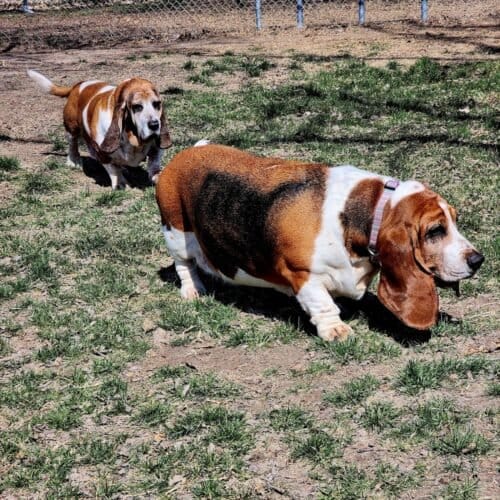 AC9h4np7TQSH UkXLWWYz sZDOujIKGSIK8RtbhM8umFnxGzkeC s t3kVwfhe98lZVyfLH9kOMM5UIe460uaigijsxZVDPHJFFme7PCbWJC3iPJ4Cl2yiKspNHsAd2dzVdIDKBmuJHMw1600 h1000 k no