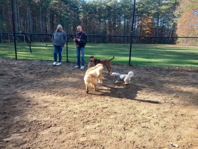 AC9h4np7TRKkg0bhjma7RHwi16HlEiwjZ0HiE5uaSQv1EUsiQQ5rO68Dgam4WDzeIJeqXktoARgrCDI VO 3mPZb6smctRdVd0IhnhDCvFSGClMDuANQavXvNzdw4iu1zGGRY3 ajD3iw1600 h1000 k no