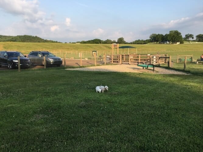 AC9h4np7UeoK0dVptPutvkDpfAISfSjyGCCdp5OCtF m2oOhAEwy1Gn3j9BAWcE5Pyk5eNZsos91cv Ib6AuzHAnUzIVNAdj9bLz5NAeuOjFNQKMLfOMh fwf JDh1sfGrdZYPW l5vww1600 h1000 k no