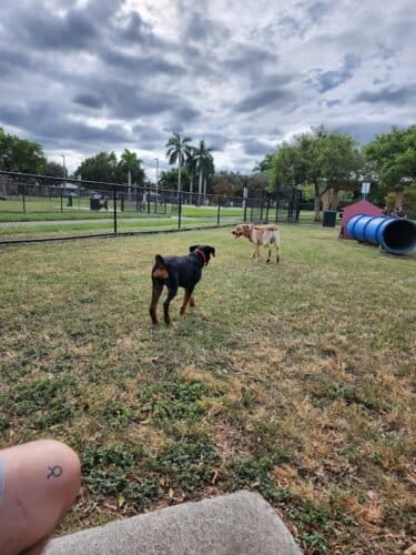 AC9h4np7 bf4SZ8bZU eVHqI90opHmSdM1DbaZ8IooQ8JTIu4 BP 1KmRSdpSyr8YDkOYDQG49CXCtkodDqAzADK1WE7Hef0eWi1Mqf0SE BI1p0n4kd6dfYzYeceYbDbHRRQQTFlGOpgQw1600 h1000 k no