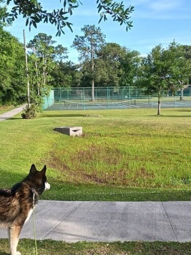 AC9h4np7e4KT IBZcP6z1AegUvVBziMyMczJJ TNYyTpp4Vizg87Ek18q1ju m3cgLyz2wiQURYfjlOla9mC LsQQc9srlG7oaOnrS Y9BE4MEnQ5yMoZRvNfIwv8AYEcXVGcEz1zbTQEAw1600 h1000 k no