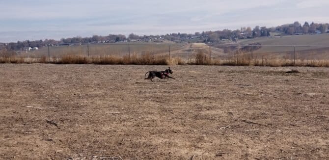 AC9h4np7jixrH56YPamf4 g5hQsZnq3IakqzWexqCWTtR1HLpflOjtJQ O SGxUy8b1HUNjNl03jXMjy9718rul 7Jav BeeWiKFNVcKw1600 h1000 k no