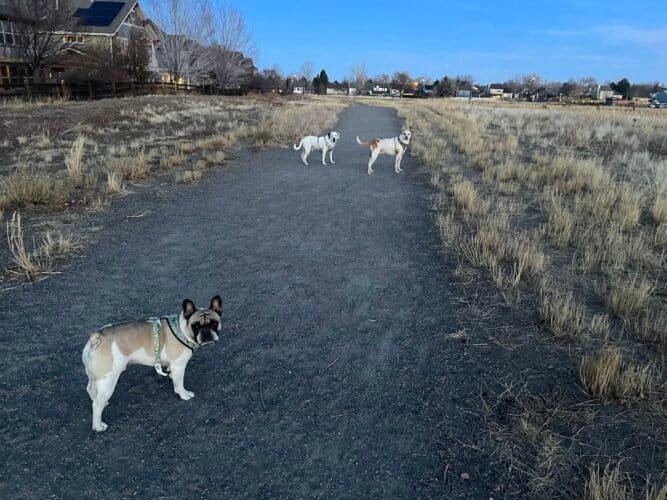 AC9h4np7k5QXeds0ASuQfbr5xB0pccfTDYkHjhBC yZ5io0OJ emNSKgedT4 m uxZsC9qx jTvJqYUlhOAUW2aNS9 Zuk8xyfNYqgA0uJaDDYXktz80Mwz8fb BTI3GbNLgwBUanSYw1600 h1000 k no