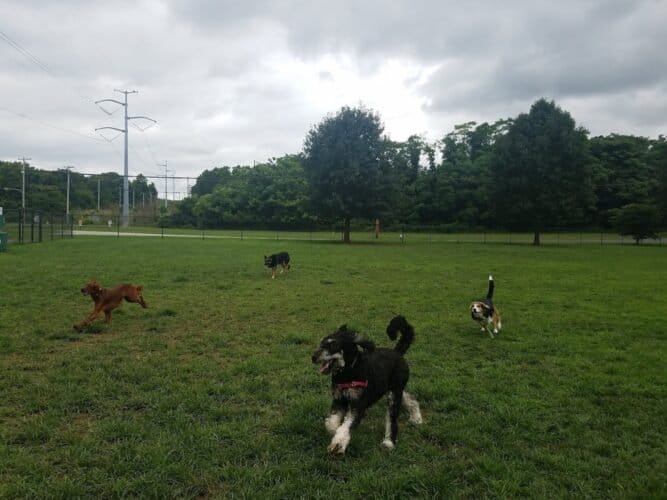 AC9h4np7onslC6eqZX68lF9eQxZXNUdLBkwtw9RPu1eN596gM06hGNpb5F6uEutTCt31MqQcHMN91yJZ3dik UDWNjLC6dC2EnzPrAYEpApefDpkN6F4zK6LdOlG4udD 8YGyB9sdm0w1600 h1000 k no