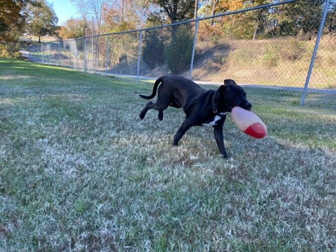 AC9h4np7ySaAo0qPmxiO0oSkNTzUuKI6YOjXluRwKaQGGUbl28FfcnhW gzShaFPuoFtImMNH7lKn8vCoz7a71tL3K9c1SH1TkWgQ7cbdIQqFWHSszNeV8vI5DQb rhcRb gC347j3h8w1600 h1000 k no