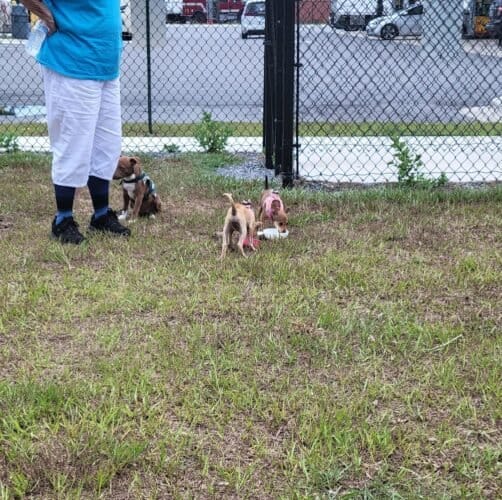 AC9h4np8GFIWLx6bLBsrzYcjvDnTXtHhaQ2gW2AqQNS3FPJtd37zgvqUSvo82VgBJTxEObS0YX83R5vOeXryWkuaJVEOjkYW2ypCUzu8YDP Xpoxw E6OYpYJVIKqdZDnxlPlKJk sy7w1600 h1000 k no