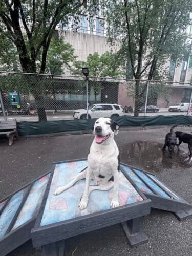 AC9h4np8KJn0y7D6wOzTf1Zm2R5RAKp91I6Gg rQb5noGu1tXjGVLy dNiY3SYiBa2 t9aCMWDc1xS23NvuS vGL6 278 cuoSjbaOdQ8bRnRNvMZJLslSHVH QkD5obHs4tq5qZkg5Hw1600 h1000 k no