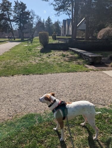 AC9h4np8P qbq5yfSyCYt1D09MXG06B9yAg23w93QKicb7JWvAglJ4 LjNgcIGQFyQM3zzyaUkXiKeG 64KFO5xFEZntqLKkxXt liJcga 7DUUEJgk6AoJam9VDWMnOQDI5iP4BEXF5w1600 h1000 k no