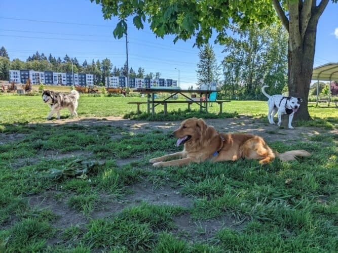 AC9h4np8dyvFycqX MftBY5rZHqFn VSkgE eBER6aWhrlwgknP2E7iZGS tOhwv0geBNipftTj4Ij8k3 gywzIzuyBJys5WQPP6S3ACnhGc5UZ7bft5ZfiHHwvfNlCqk38ohapLRCUc Aw1600 h1000 k no