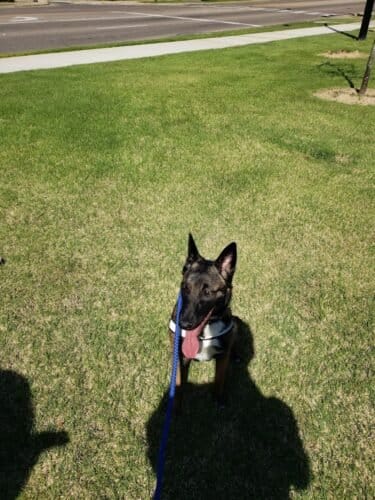 AC9h4np8ggpan9wYJDKoZbhzYsrQ0nGEsYZfwvmhf2Ht9BRSV ePmQVagyxlmsQiV 1oazBaq9NAc8ogtnfLrwG8cxbdUy1GZAlwFAtjaJVlfk4A1yZxFkO4rcVXJ IgB6ItyMQ9q 7Ywgw1600 h1000 k no