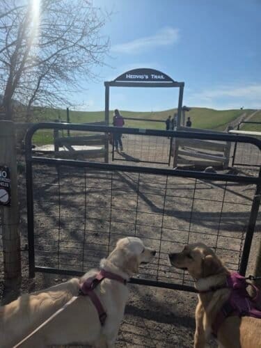 AC9h4np8iSB8Ga1yDtoTo0p2TwIA7JVsG q0mPmuGy 08444G8ugm14Q72ns5UhWv4DecSZJfDMuEzQyWEH9goJeVh9MFTqWGGaaNaqLyGEIe7PepKrwLC510GX2w0PmrnBQBWyzXo oYlWFy9Vfw1600 h1000 k no