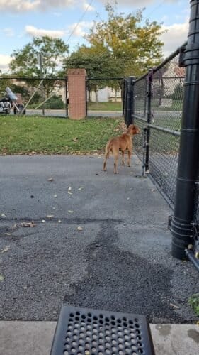 AC9h4np8oaL7HklvcaMy82LJD94YhmHnKy j2Twb9cvxZB34jBmqEWCW2jE1qx UMPT dehHH84sK2McBHf1xe WI D HCpxZCA6qpro04VCHyRgsRxDMamzaOhX4vWnzPoG1FGvz132w1600 h1000 k no