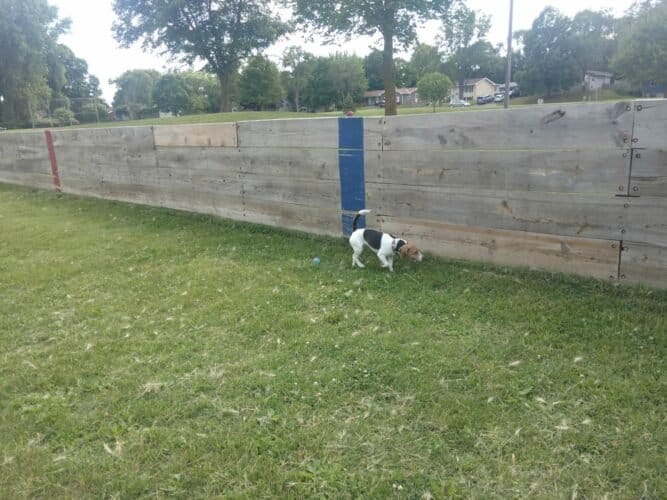 AC9h4np8pEkU1SfcrDED1IV 3nIKVw4KzU9iANjzjrOniac Cae3pnpAowvZRbt4mXg4E02Bt8RqTpsXJEy3 nIRC6jny7NfBrUmNio5lnY2uZQE78OUuAETe9fAohHGTFEcxvv0EP4w1600 h1000 k no