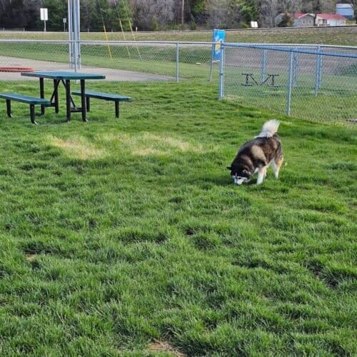 AC9h4np94cB oXQoFBrFAyfrV6yS7vqebFQb9pLrrhcnAhgfrrFLgWYzBI 6nk22tvPAJ7CMNxp6xTz3ARxG7vEbewi viXd21f3oHQP0VebrVTgELfLUH EKMhCS3qeP6TGi3fgbR4lw1600 h1000 k no