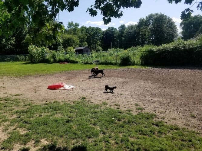 AC9h4np94w3rsh8fpLxgpK 7hbb DW6d7zP5Gu Q9SPX05tG0 V1m8ySH7g1 suSLp  LH5xw vwzCG2 PVNZL90M3vH1noSdRWKozb1dxBEWcVMOWFCLTrO4uSEUEOcU9kD0wllXpsw1600 h1000 k no