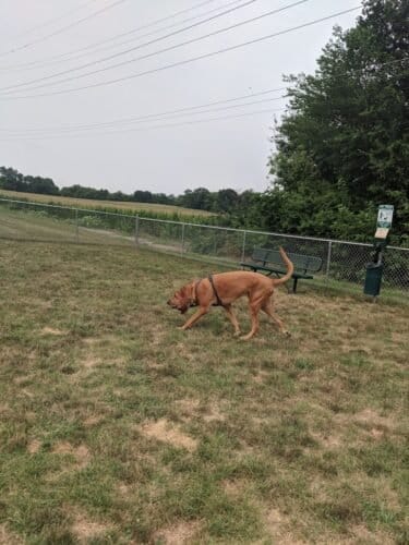 AC9h4np9KeKfXKfJVx5JH Ql5Q Y2AqCjnlJr9N1KArXSKPlOVnKOqkDk0VQk85cgBwr8ttUaA9gjBWnu2N3RedBB9Dza0WIJXWc9gxGX KnrOCaAYyJO3LZnvl8BTYQEPa4ISIiz odw1600 h1000 k no