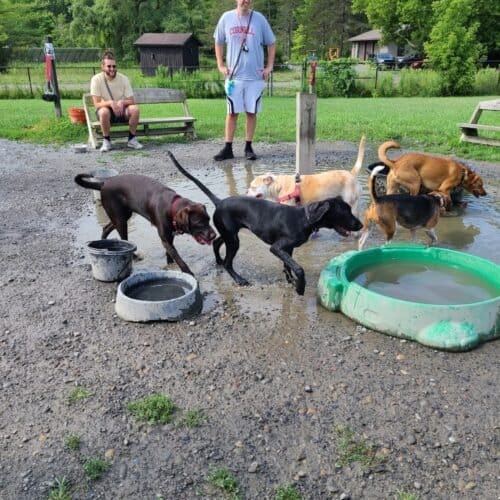 AC9h4np9Q2Bo3SUpzhxS8qZSDokzEUDWBbsmYuCMqDvxvlNzYmwKNp7EaXJytv8eugeeVA0HlWgC6xFA85Q0lUVRY9Pb2hGZXyVTqLTV9stwouoSXI7LRrg3MPXjncRKcZifQVJ 1eBRmgw1600 h1000 k no