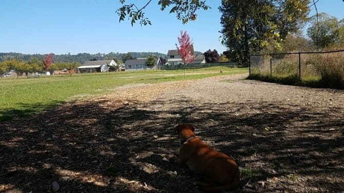 AC9h4np9R3NYHnVXKt HPQ9x ry1pKaPn2kdWeb8ukiyHztjETaAG7n0aYbUcLNfQZCKCB PjBJ4VGpcc1wPGOlfQq1hKpjh WFI0C2EF9BaHK3iHhtu5Aig2 M X1occhkuvLhZPE0w1600 h1000 k no