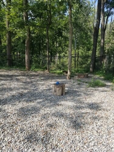 AC9h4np9RL aJrWNfRQdD59AS6LAfCRs6a1RJb8g3EQjg83tACLuLG2LOPIEfHS8Z0FJe8CClWARRVhE2 zgBDvYJ0ezVU9gV7ux3fsVzYa0sBu9zplWzbgRCos1hMyttVPkVsEBJl2Xw1600 h1000 k no