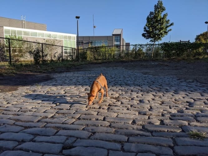 AC9h4np9TGFD1Doi zFXZtv2hfI9UMz9nBOk5mj7FHSgowI2Qvoz8yXKy4 mXT65SfJAsf CU1oFBSnMPQ4ZOrG8jE oA3Vcw0LpGzvhGc40xEIRya704UO jEDwq SxIfguaqVBzcTn9Qw1600 h1000 k no