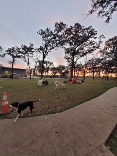 AC9h4np9ctRFiAIA6LchB9hMwLUGfevvwS 8VJBJ6qtdulRlU1zzCx6aa3KDbRfQogGLIlXWq Cd cszqclPLIHQ61A7Mt3AShROz5eFJ3Ij6jT80V DhjoosDI1P1yEM3ZjqTy8820ahAw1600 h1000 k no