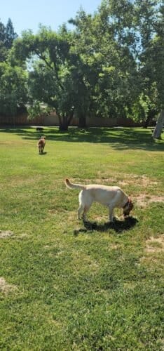 AC9h4np9dJCo5GBdQo8Zq 3zF xsT0BoJ0 G Ib5EgVq1C ifYt7jk yJ7Mg3DA9tbBwiyi0bn45vn1E453 CLiK5MUt6EGvKPr97iKhf4uVHHQPg4U6OkBTAiGHqFCpP7m cDMuzhEjw1600 h1000 k no