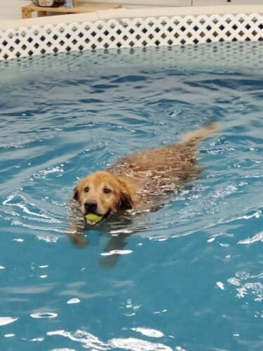 AC9h4np9meNJwtirCJFyNcl3 fWZS1c5StA21BnvXfgcXuY0B7jyzMDQwpygTa6B97CPVMrFR2DIYEtz8ofqzV822J2ErOyc7cMwy1715BuRBPHJ9YijCyN75hKNn4rJfJPohjoQHwS5w1600 h1000 k no