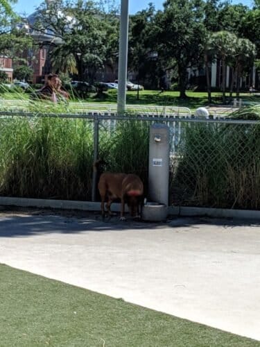 AC9h4npA eWwghNzP8iDAv1glMGqvY7lD3A6DEJsHzMuqHUGCxct0khp2JPHnS AkeFTD0LGGbb MRG3g 32WcPmp2qkNc1QIda0odQY8dPdroJkvlhIEKGQUmKLcYKt29t9raaf6ycw1600 h1000 k no