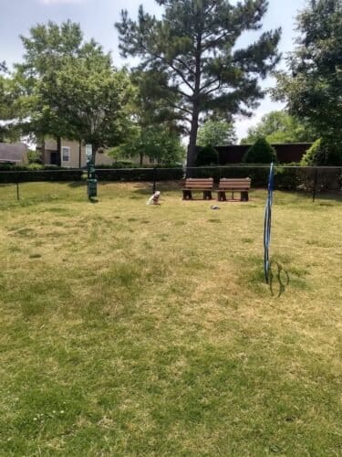 AC9h4npA2hayYf7ikCInm2cKziUbYA5YRDeMIdAGt65z2K3oE3CJe2naX1Vz7Lt1pR lQ7lN i kOvRLkRnIuJJdksA6JJ98 lPELnzSZgw1600 h1000 k no