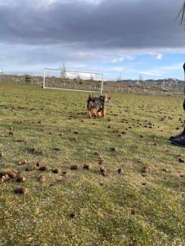 AC9h4npA4H7CP893zRa66VWnrexC8bftdOyCg7xRJ3a58HU AfAGRNxfl5GMJucND ZT5RMmGrxE4I7lWfx2W g7xe5myLrsYdbvHoUjW3WbVueabb6pSs8KTGJO5XaUjsrewUD9cUbF1Qw1600 h1000 k no