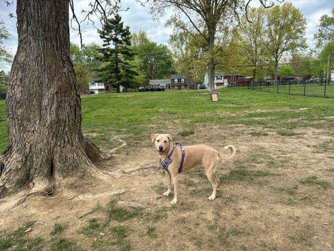 AC9h4npAEMWL5lbv09XkI8Ddy2Ox9 Dnazqw6RZSXJsHQ kAspte0kyeIGFaZD68K RGhu0LallgE8sGOfvbOe3E gEHWAtu7H3S7iThavIZQy70H8HUakDqmHtCwA8GZ4CSgWqiXCCUigw1600 h1000 k no