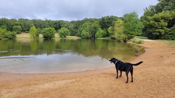 AC9h4npAIu1t QQPWz6N7AtzYkMuAqex5xo8xLigTap TNw80BNLDJL bBQBXQeBSvMzyjNeB4zKLc 305VnchTfY1fz9Gd9PIIO DURKfJrg0wMo8SKRmkKLwFQFWsSOUrbPaFkn59lw1600 h1000 k no