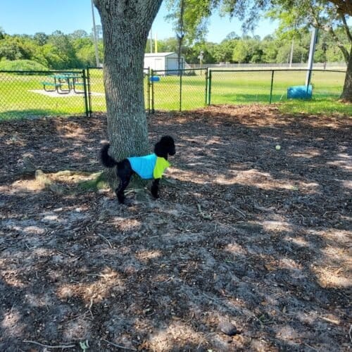 AC9h4npAIwIC5fXca6DDnuTTIFejOCfUnTuSyXB8fEuKLDKzmEpga7R8LW Swc1U5K aUJB4KCbCP5K1nrrrhThj9zdJgmWZFBjXCRf1cz V89Pzc1H5uWNejQuDB63WdFR5DKs2m2b3w1600 h1000 k no