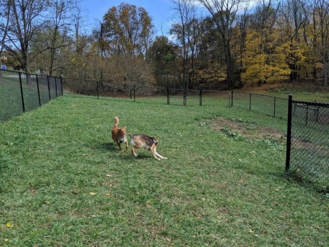 AC9h4npAJIsadGHkIKwYlbnxpTmGBBfp7y39eDN5N lQwMqRZYUogHPy5snCY7 4AxVG177 cTKmxDFl7GhscktiyHqMv CgY6AeUhn5HE TXDjDB7KAJVx7Oh8QdcDzEwGsHiaLFDHemQw1600 h1000 k no