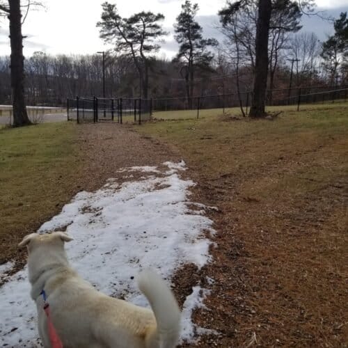 AC9h4npALPM7A4qDXBJSLyOx2UdU69OvcqIoEvvcDO2wH 3vVPLD7jj40F8XCRVdoOWiBjIPc8f2QEVSuYpSYiQ14JKk9vcHHp 2EgEMyQ8w1600 h1000 k no