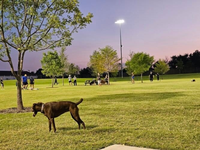 AC9h4npAYa2YGpJgLeT9FA5WDk3r9hrP2jYHOnaDb58uGV8qYhpv  hzBz3mFOfVXxedoX8eZQXEJPSy0RblyBDA gLQswqLnttfFu1XnmhmQHu1MaT3H77eSh psidNoB XcsXX32EPw1600 h1000 k no