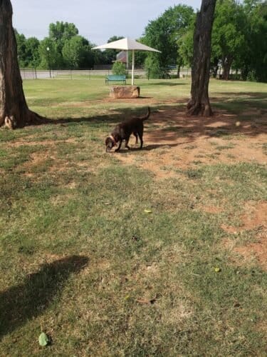 AC9h4npAwgnZxNPne4VTLZ5OmC7aTDoZ6KHsHqTQI9qf0VvC1v mSnPrdQPwtOlqiC D6EYii1JjH0nTuLXxaxxThdHzGtQmxW7sqSddv4BJzy  bT1lMFXfjoyUUKt dVd1R8GWtGmEw1600 h1000 k no