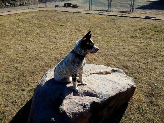 AC9h4npB33SNkMHBB4hxnXObnJBU5SaGtWFQXsRbnxTGJvtVchBME024qpRhklnrrIVlXUi 04YHPsK45RKLgWK1cPPHu6KXMDHImJk1fimC1 ksY2VgtKVD8hlA5Gld6IZY8faa7pI6w1600 h1000 k no