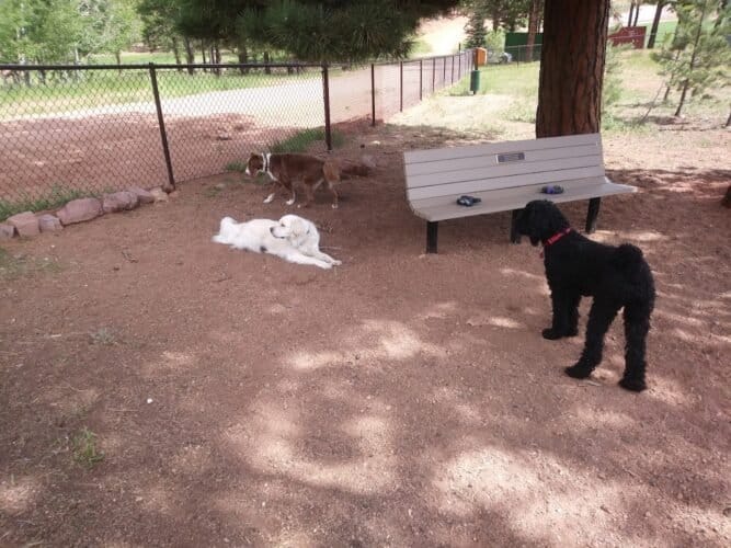 AC9h4npBU9Tn4hYEIzHwN97GiOr9wHrEj 0HU3UEZkeofedfz8rZGwTHfOXtVZ0P IFGCXuk0ESEUV6TPWdPRtSbXqZKca6owj5TIxN5k7yldN7oNabGTKp0bMxpJ4QzQ4rzus1mWCmxIww1600 h1000 k no